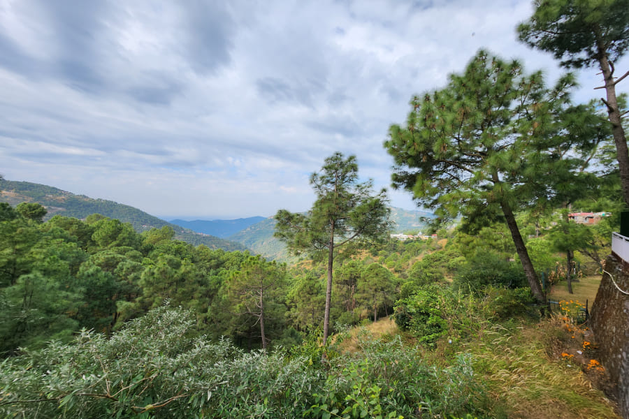 best luxury resorts in kasauli