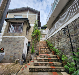 budget resorts in kasauli