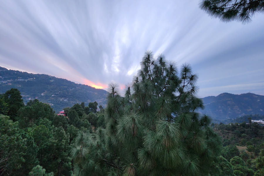 couple friendly resorts in kasauli